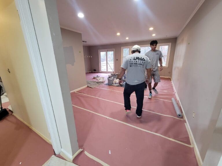 what makes professional painters different