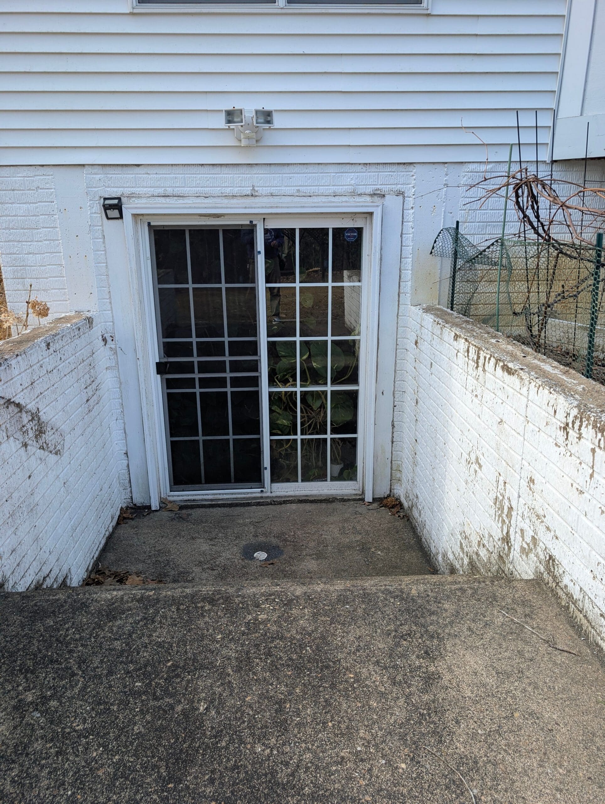 Brick limewash vs paint