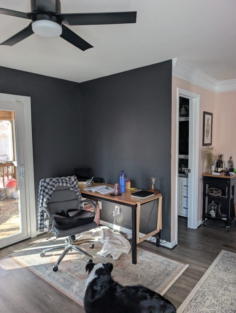safe paint options for families