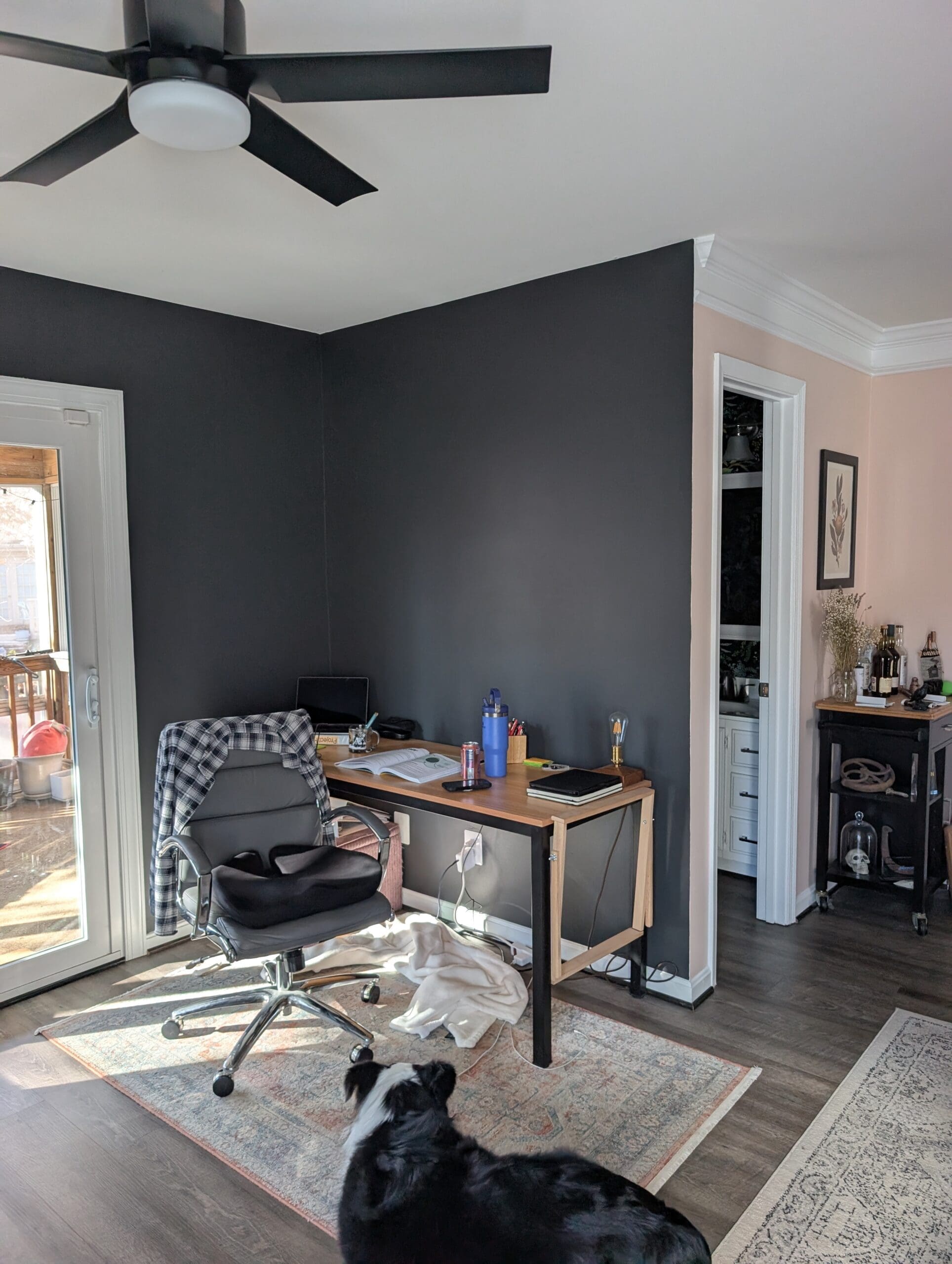 safe paint options for families