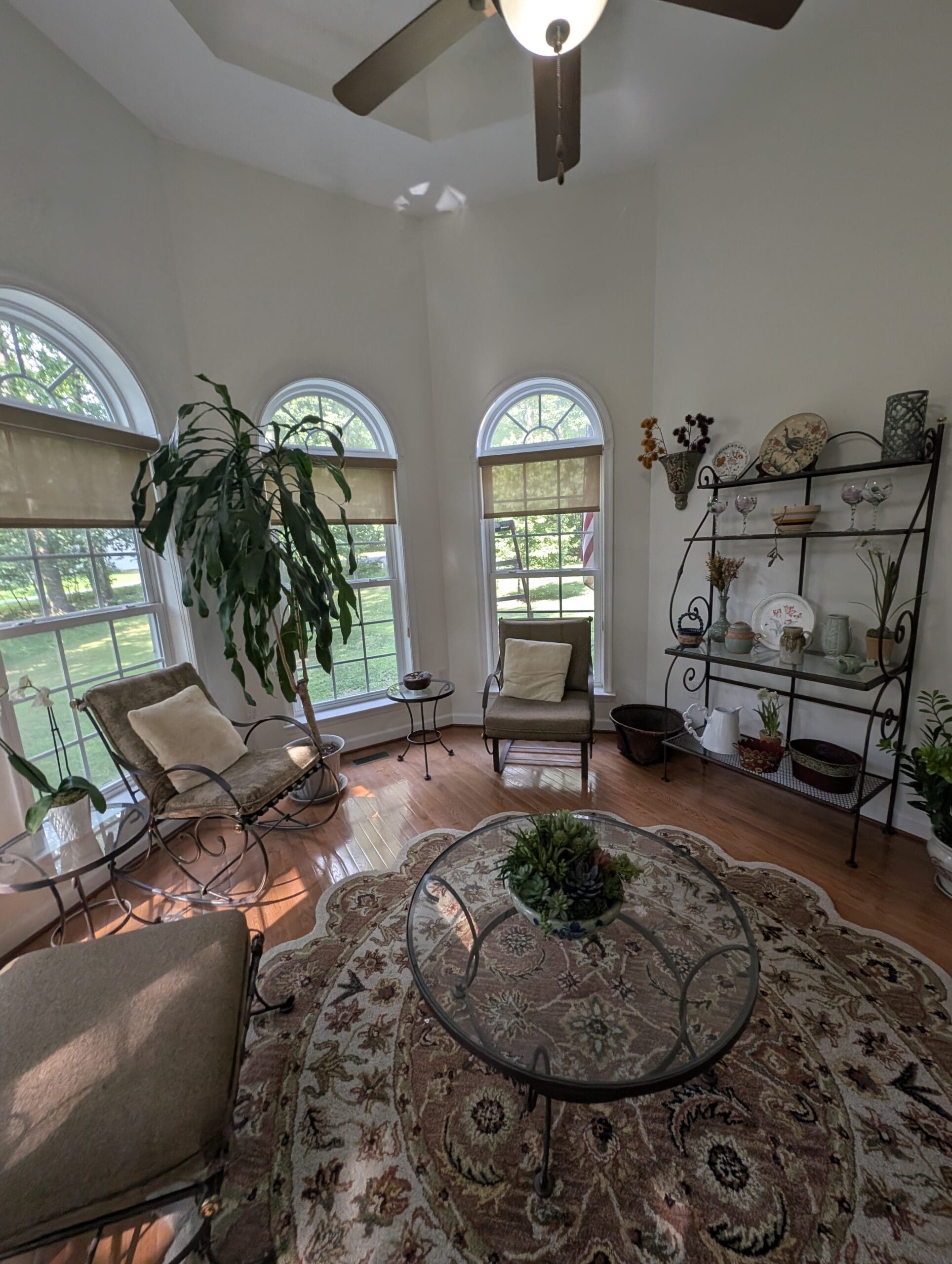living room paint services